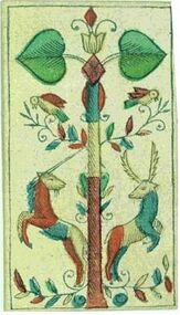 Grün-Daus (dt.)