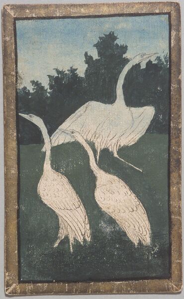 Datei:SPKW-Q12912-25-reiher-drei-einzelkarte.jpg
