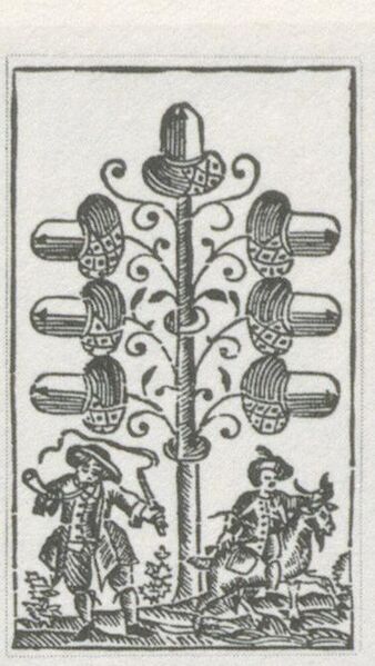 Datei:SPKW-Q29878-bnm-scan-s049r-z01s08-dt-eichel-7.jpg
