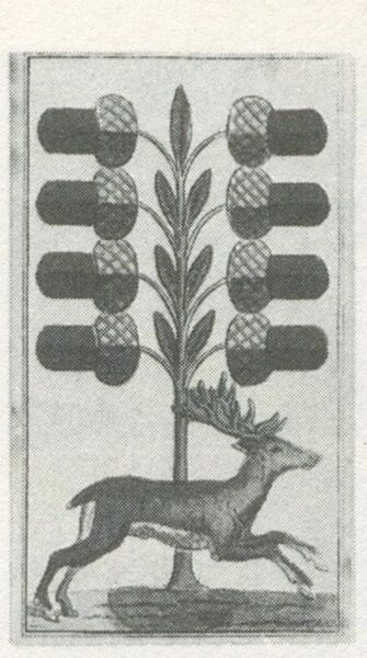 Datei:SPKW-Q29885-bnm-scan-s146r-z01s03-dt-eichel-8.jpg