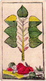 Grün-7 (dt.)