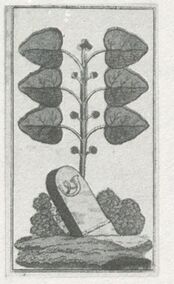 Grün-6 (dt.)
