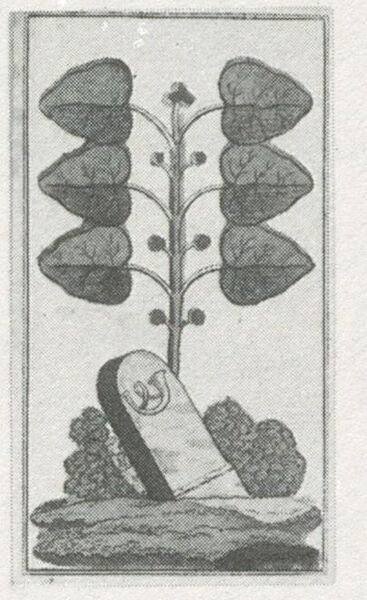 Datei:SPKW-Q29885-bnm-scan-s146r-z02s05-dt-gruen-6.jpg
