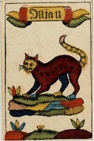 Hexeln: Miau