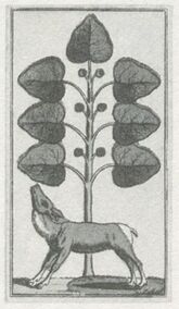 Grün-7 (dt.)
