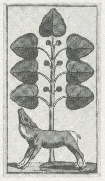 Datei:SPKW-Q29885-bnm-scan-s146r-z02s04-dt-gruen-7.jpg