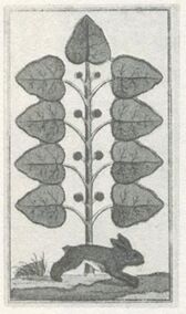 Grün-9 (dt.)