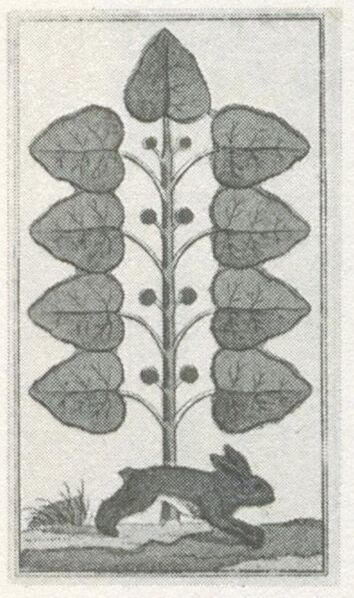 Datei:SPKW-Q29885-bnm-scan-s146r-z02s02-dt-gruen-9.jpg