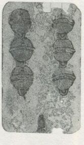 Schellen-6 (dt.)