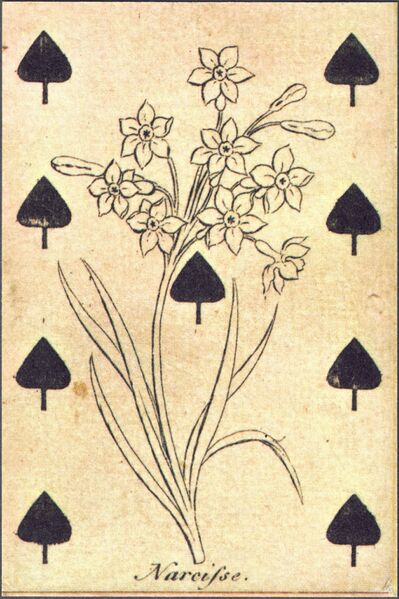 Datei:SPKW-Q38303-Scan2026-09-26 055002 07-frz-pik-9.jpg