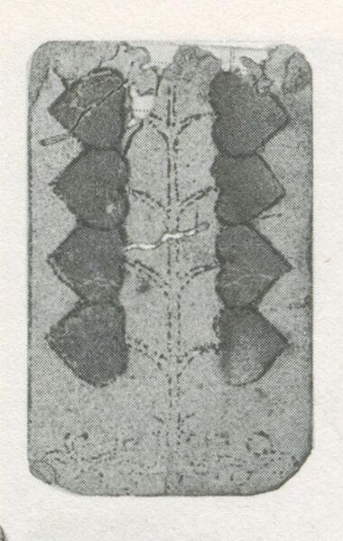Datei:SPKW-Q29857-bnm-scan-s035l-z01s01-dt-herz-8.jpg