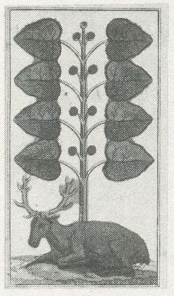 Datei:SPKW-Q29885-bnm-scan-s146r-z02s03-dt-gruen-8.jpg