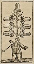 Eichel-7 (dt.) (oder Herz-6 (dt.)) · Regensburger Bild (Hersteller unbekannt, Kurfürstentum Bayern, 1850)