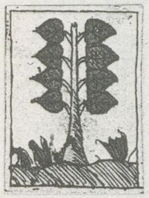 Grün-8 (dt.)