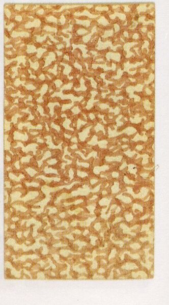 Datei:SPKW-Q3861-t040-pic 2026-09-12 163440-l-z4-s5-rueckseite.jpg