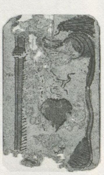 Datei:SPKW-Q29857-bnm-scan-s035l-z02s02-dt-herz-10.jpg