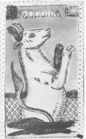 Minchiate XXXIV