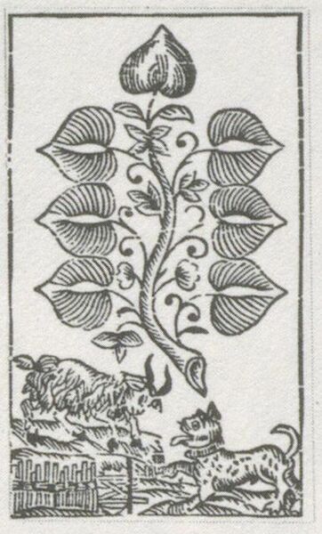 Datei:SPKW-Q29878-bnm-scan-s049r-z02s08-dt-gruen-7.jpg
